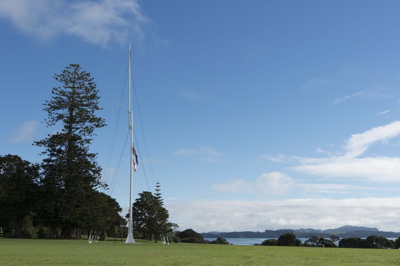 treaty of waitangi health